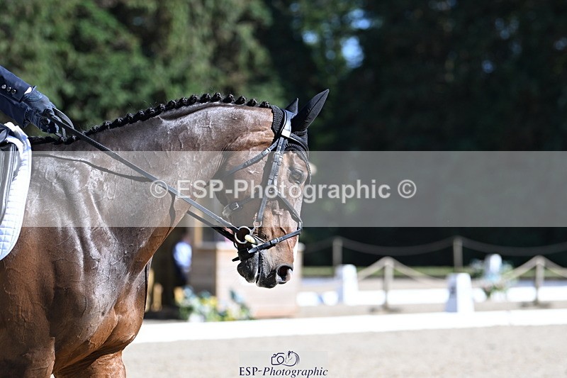 250522A-161402-04880 - C-230-Bella.Stevens-SHANAGORE.LUSTY