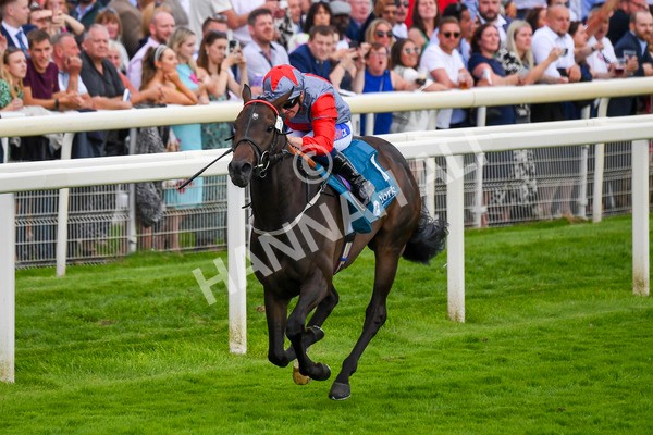 290723-Race 7-Bajan Bandit-1101 - Race 7 5.45pm Sky Bet Extra Places Every Day Handicap