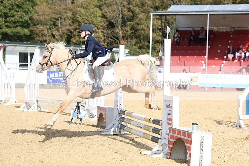 3E7A6941 - Class 2: 50cm Open