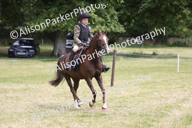 20260614-2866 - Class 22 - Open Working Hunter