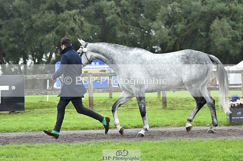 231018-124718-00521 - 064-AIR.MAIL-Daisy.Amin-TrotUp