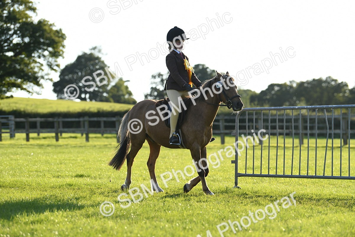 SBM_54222 - S23 - 1st Ridden Mountain & Moorland Pony