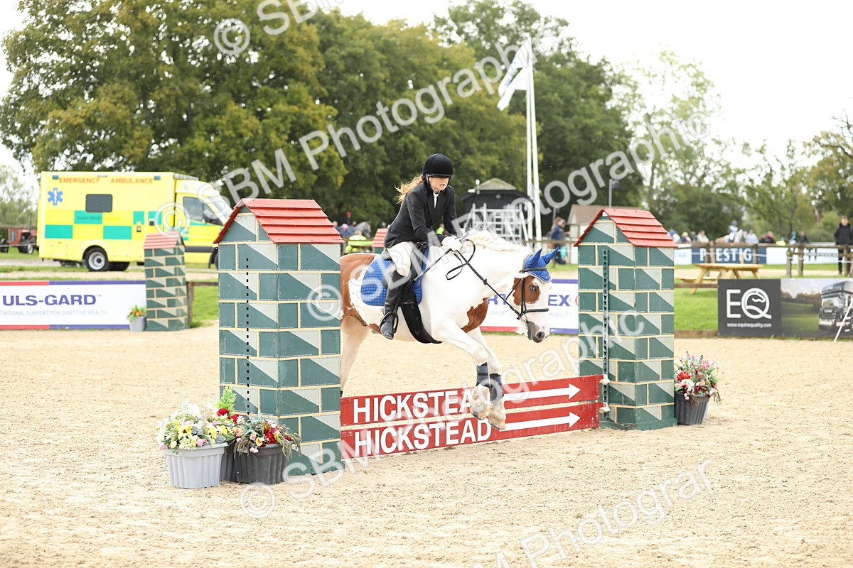 SBM_02019 - J34 - Veteran Rider 50cm