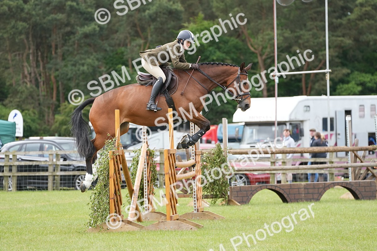 SBM_14955 - Class 100-102 - RIHS Working Hunter