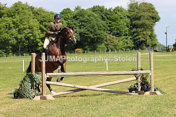 IMG_4695 - Working Hunter