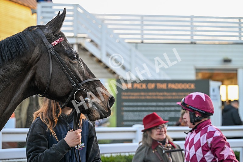 161225-Race 6-Prospect House-9231 - Race 6