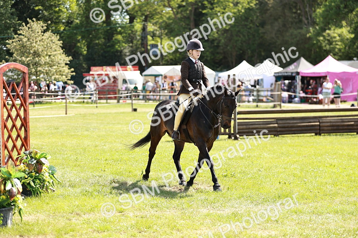 SBM_17635 - Class 112-113 - BSPS LIHS Working Sports Pony
