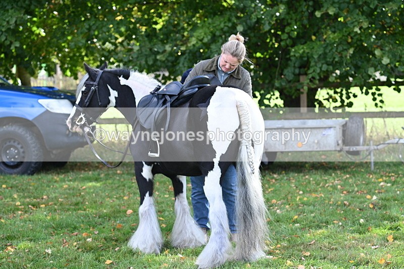 WJ7_5126 - Meet