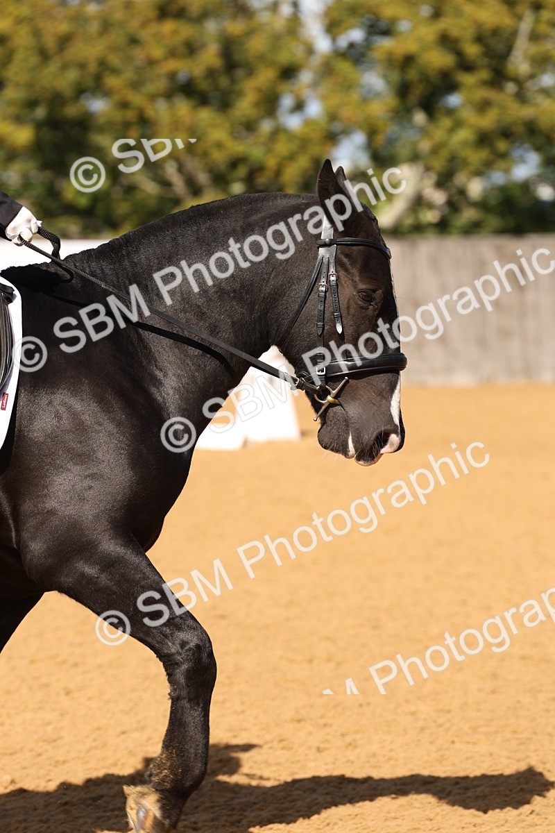 SBM_06142 - D30 - Small Tour PYO Open