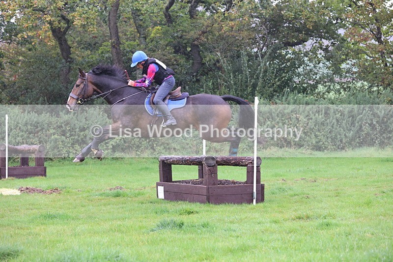 JPP_5394 - Class 4: 80cm: Crossed Logs