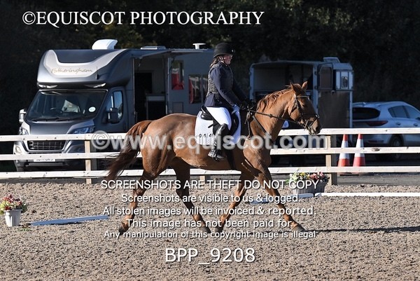 BPP_9208 - SHORT ARENA
