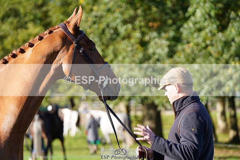 241026-100244-11565 - 054-Matthew.Heath-DASSETT.VENTURE