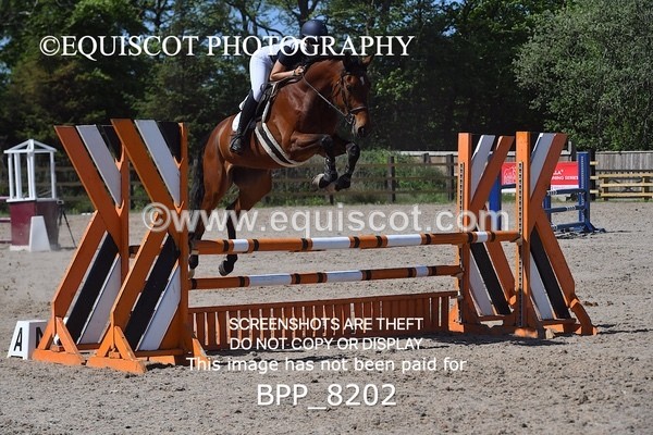 BPP_8202 - CLASS 4 Senior Discovery/ 1m Open