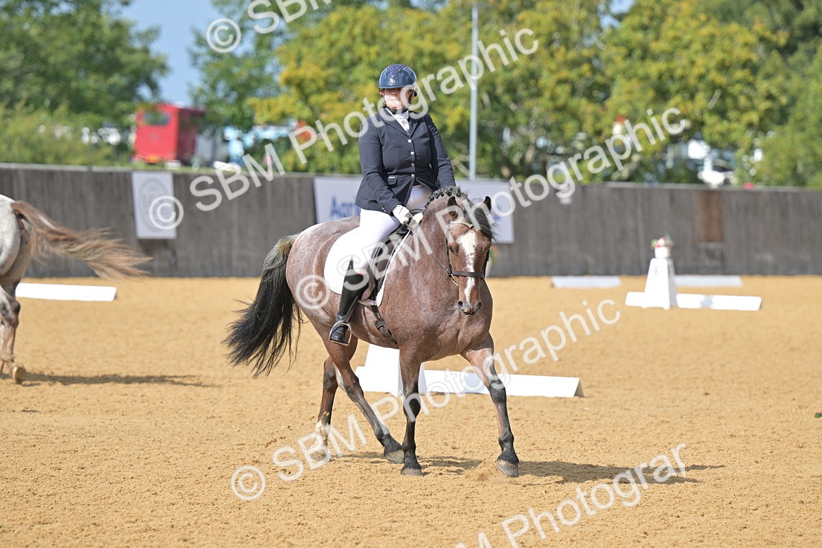 SBM_08655 - D8 - Small Tour Championship Prelim 1