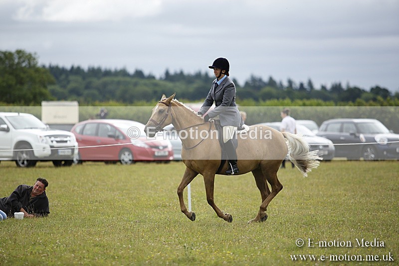 BVR160717-274 - Ring 1 BVRC Show 16/07/17