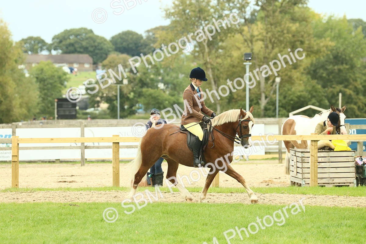 SBM_72059 - S60 - Mountain & Moorland Ridden Large Breeds