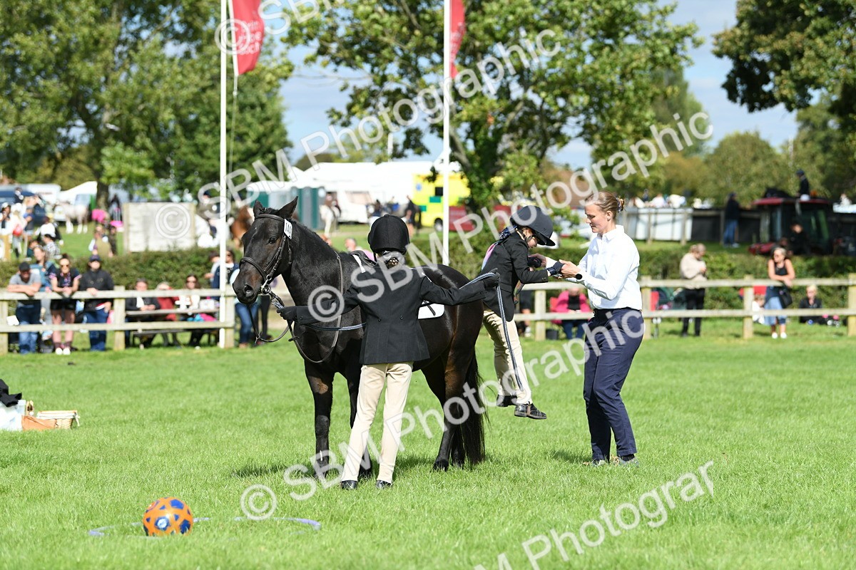 SBM_46961 - S12 - Family Horse & Pony