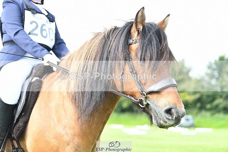 230826-101417-15407 - Sections C & D 10 to End