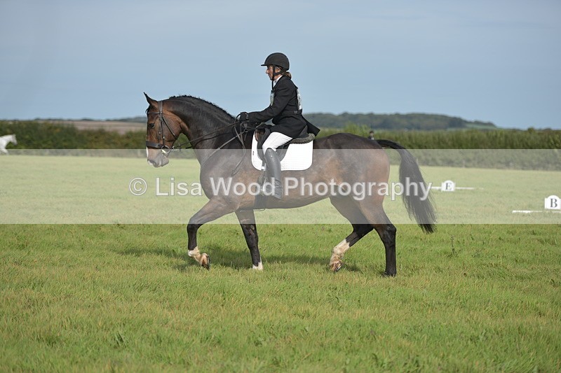 RAY_7913 - Class 2B: Trekenning Open: Dressage