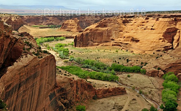 Cottonwood Row - Canyon de Chelly