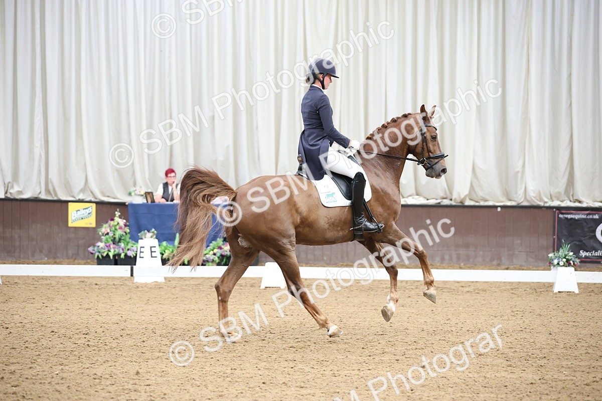 SBM_004375 - Class 9 - FEI Inter 1 Gold - 15.55-16.43