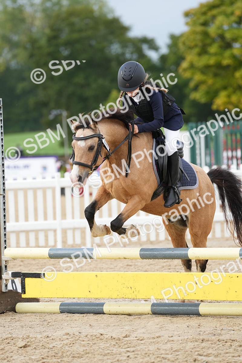 SBM_32356 - J5 - Junior Pony 50cm Championship
