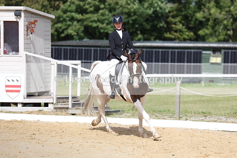 3E7A4131 - Class 9: Novice 6 Section B Championship