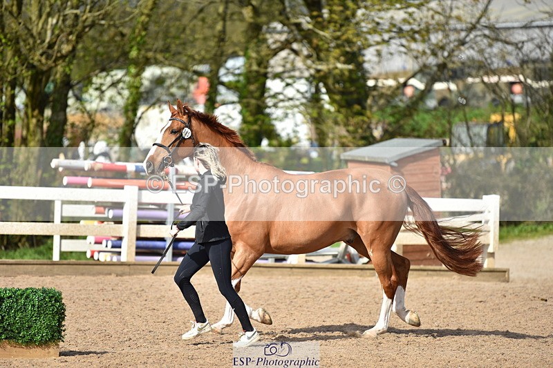 240417A-163240-01248 - 4pm to Finish