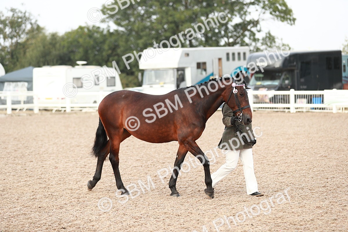 SBM_09471 - Class 201 Best Turned Out IH