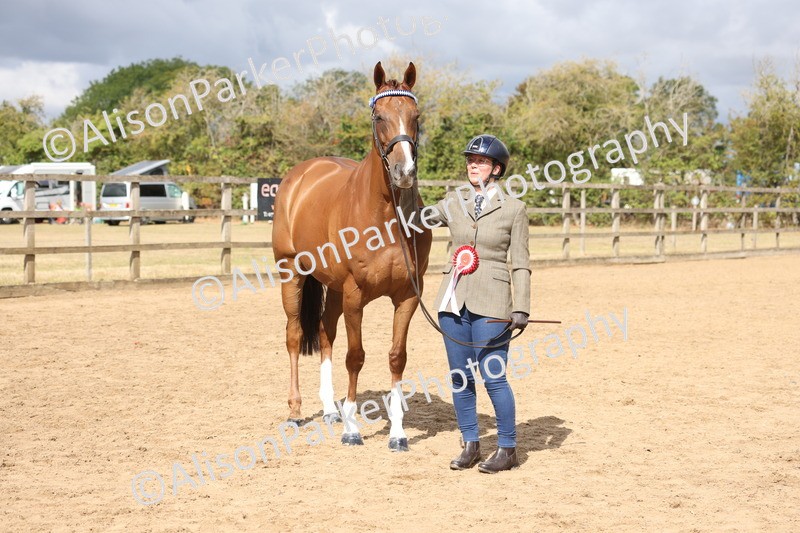 20260831-1993 - Class 5 - Retraining of Racehorses