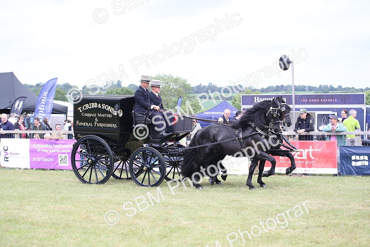 SBM_07067 - Class 16 - Light Trade