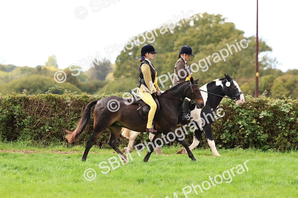 SBM_45154 - S27 - Young Veteran Ridden