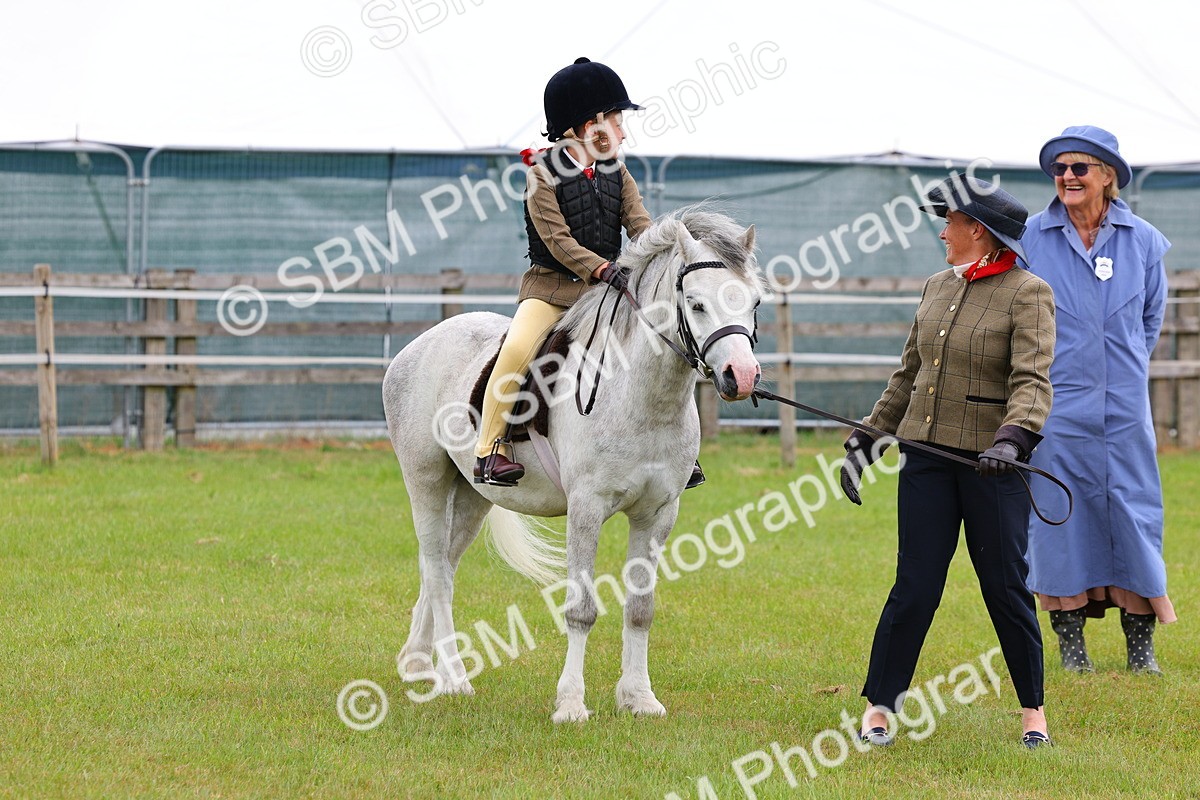SBM_08218 - Class 42-43 - LIHS BSPS Heritage Working Sports Pony