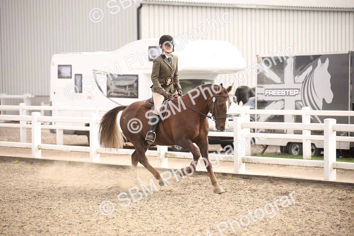 SBM_16118 - Class 408b - Working Veteran 70cm (20+)