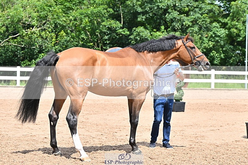 240718A-105307-01595 - Trot Up 1pm to 2pm