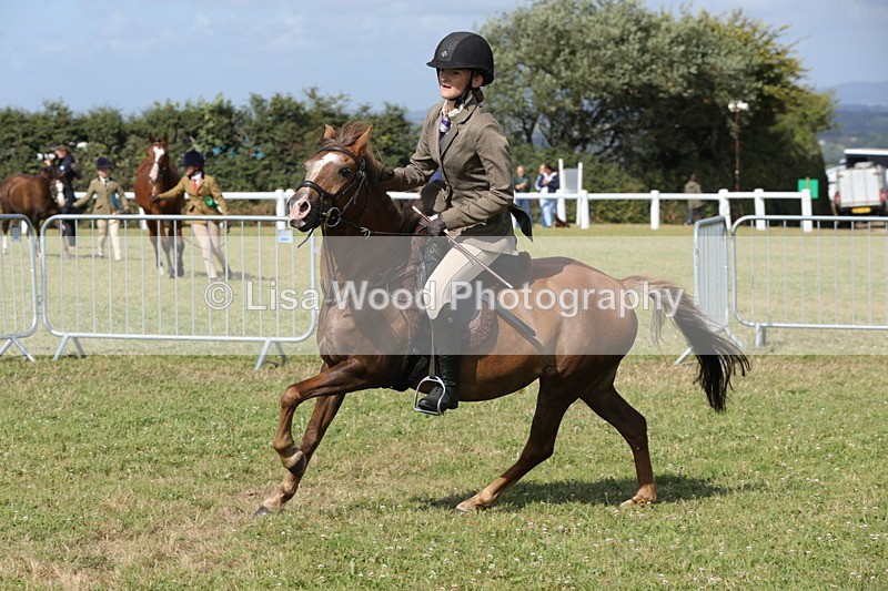 1X9A5793 - Class 40: NPS Welsh A & B