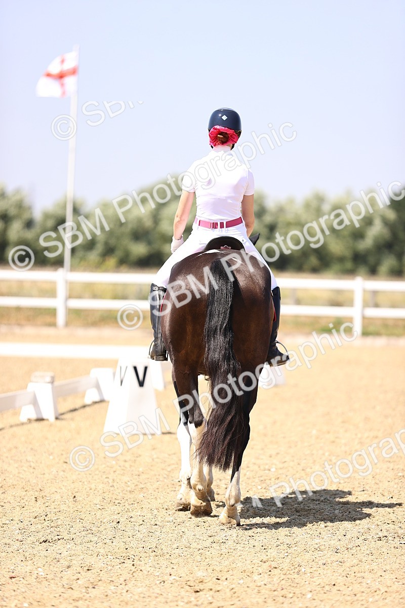 SBM_004040 - Intro 2