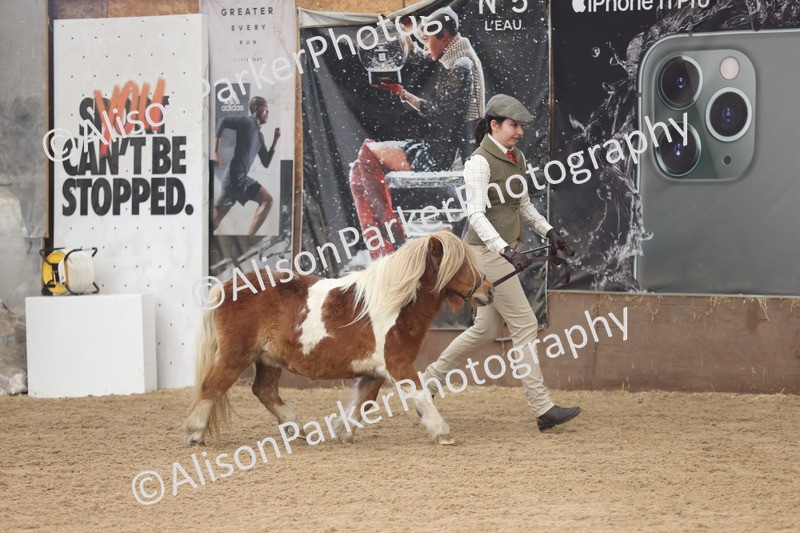 20251109-0298 - Class 13 - Mares 4 Years and Over