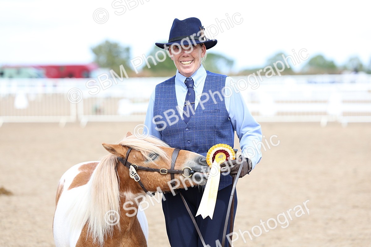 SBM_02406 - Class 19 - Horse or Pony Judge would most like to take home