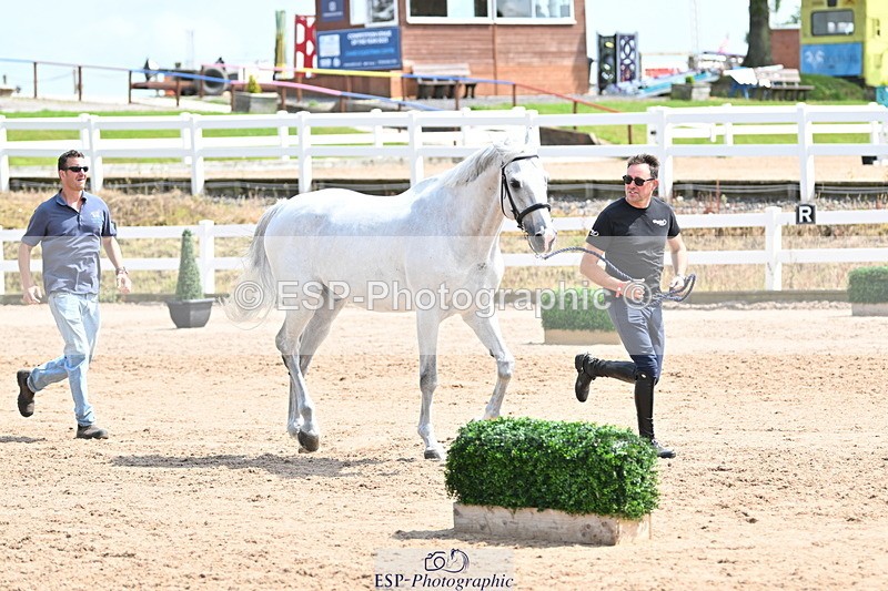 240717A-145410-02382 - Trot Up 2pm to 3pm - This folder is not in time order