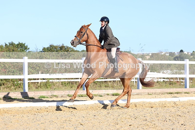3E7A5199 - Class 7: Novice Ridden Hunter/Hack/RH/Cob