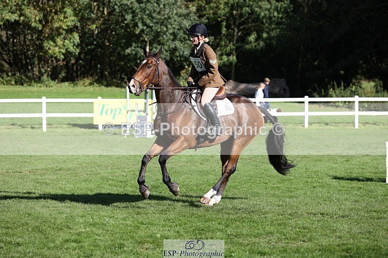 231022-125535-27411 - 450-NORDIC.FIRE-Lara.Hails-TrotUp+SJ
