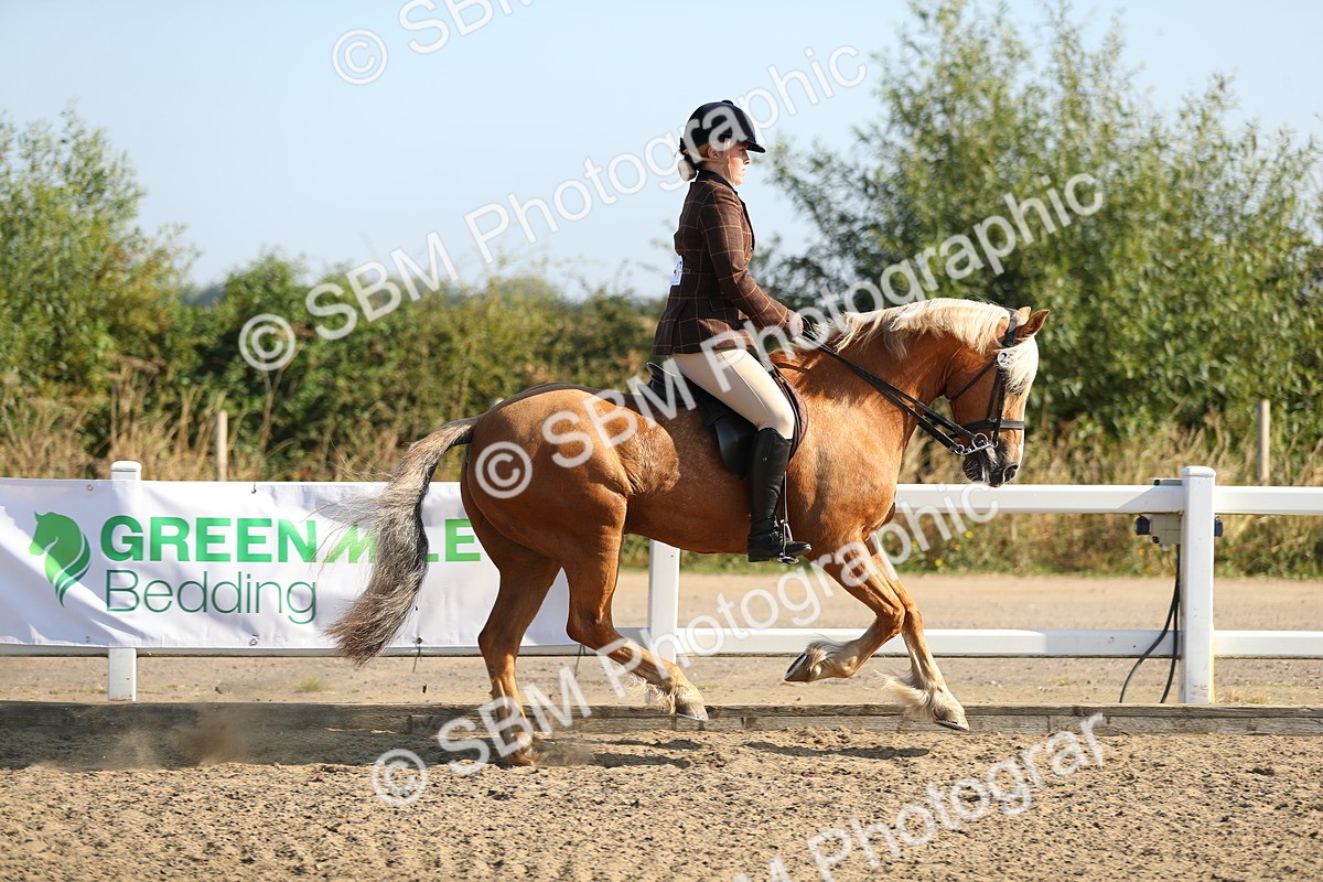 SBM_01134 - Class 42 Ridden Veteran