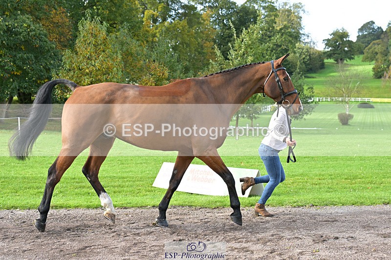 241023-131618-00165 - 057-Louisa.Lockwood-KILCANNON.OREO