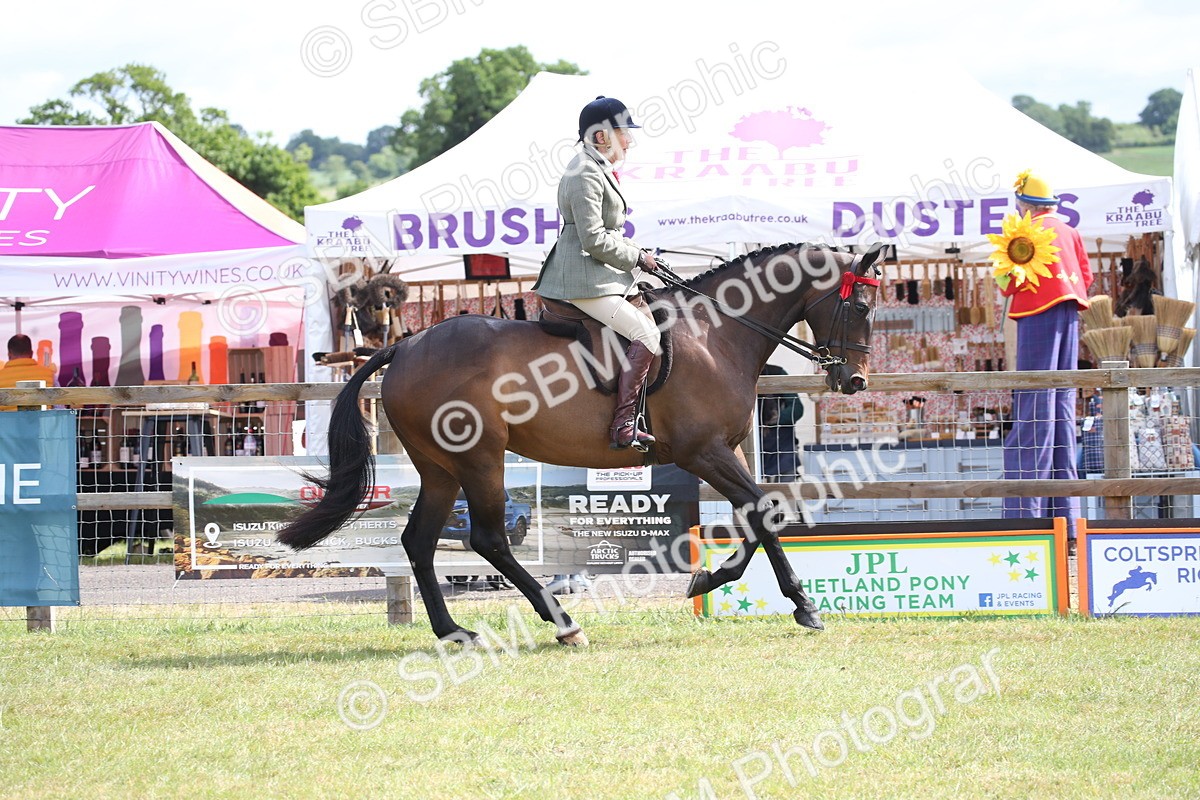 SBM_13216 - Class 95-96 - LIHS BSHA Rising Star Hack Riding Horse