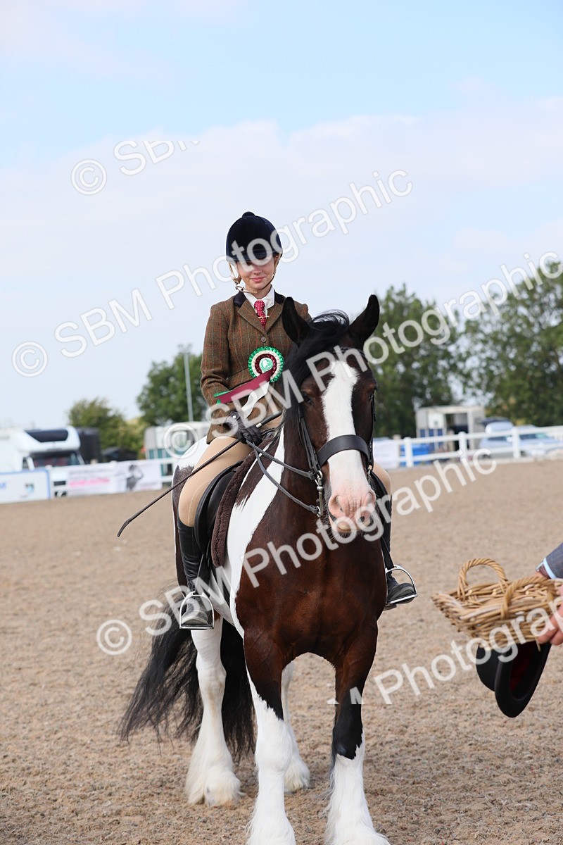 SBM_13534 - Class 308 Ridden Coloured Horse