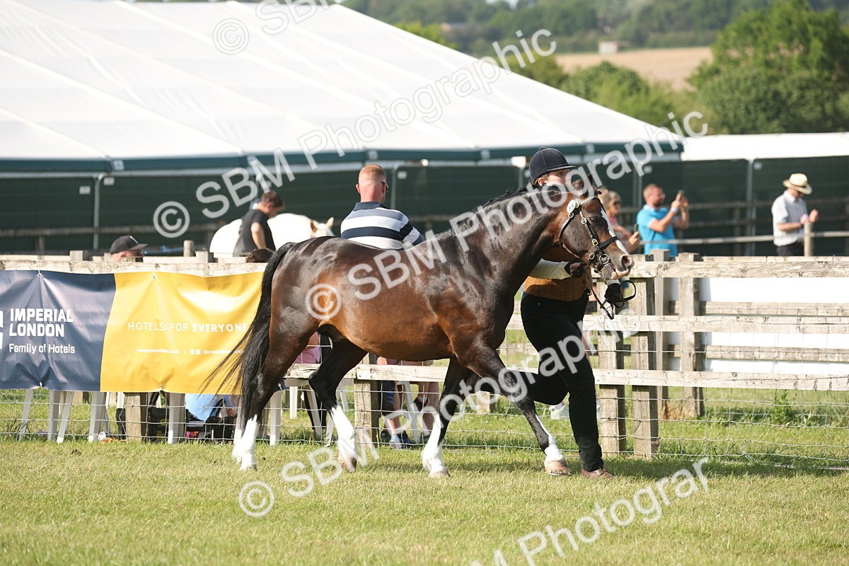 SBM_10345 - Class 33-38 - SSADL RIHS Qualifiers