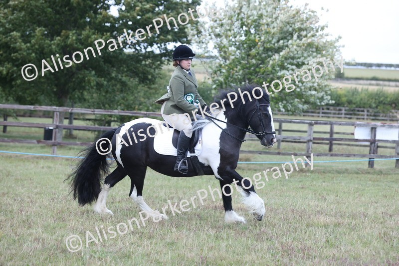 20250831-4377 - Class 20 - Ridden Coloured