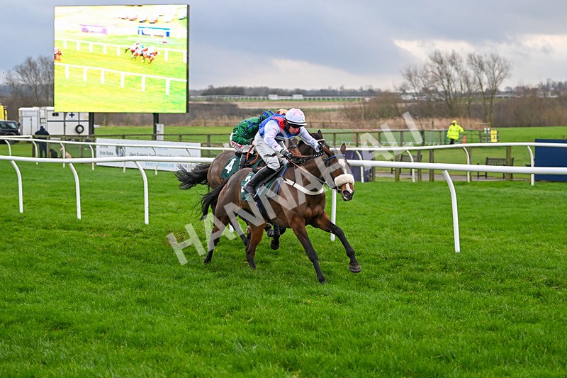 171224-Race 5-Wrappedinrubies-3445 - Race 5