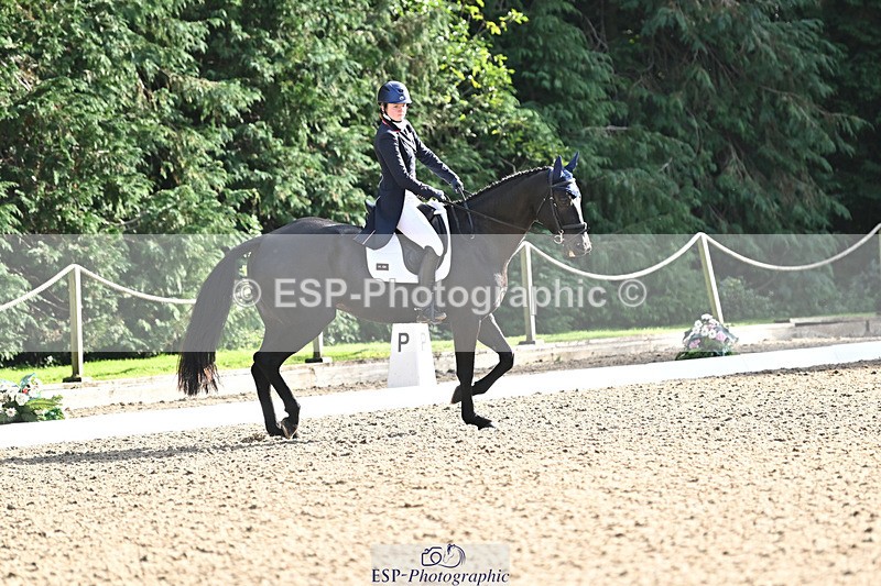 241023-143712-00559 - 002-Ellie.Fredericks-BRITANNIA'S.OLIVE